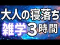 【眠れる男性の声】大人の貴方へ寝落ちを助ける雑学朗読3時間【睡眠用・寝ながら聴ける】