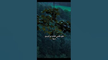 ويوم يعض الظالم على يديه|سورة الفرقان#explorepage #اكسبلور #القزابري #explore #حالات_واتس#راحة_نفسية