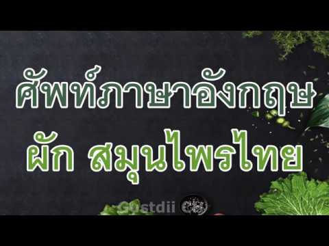 คำศัพท์ภาษาอังกฤษ ผัก สมุนไพร ไทย น่ารู้ พร้อมภาพประกอบ l ศัพท์ภาษาอังกฤษในชีวิตประจำวัน