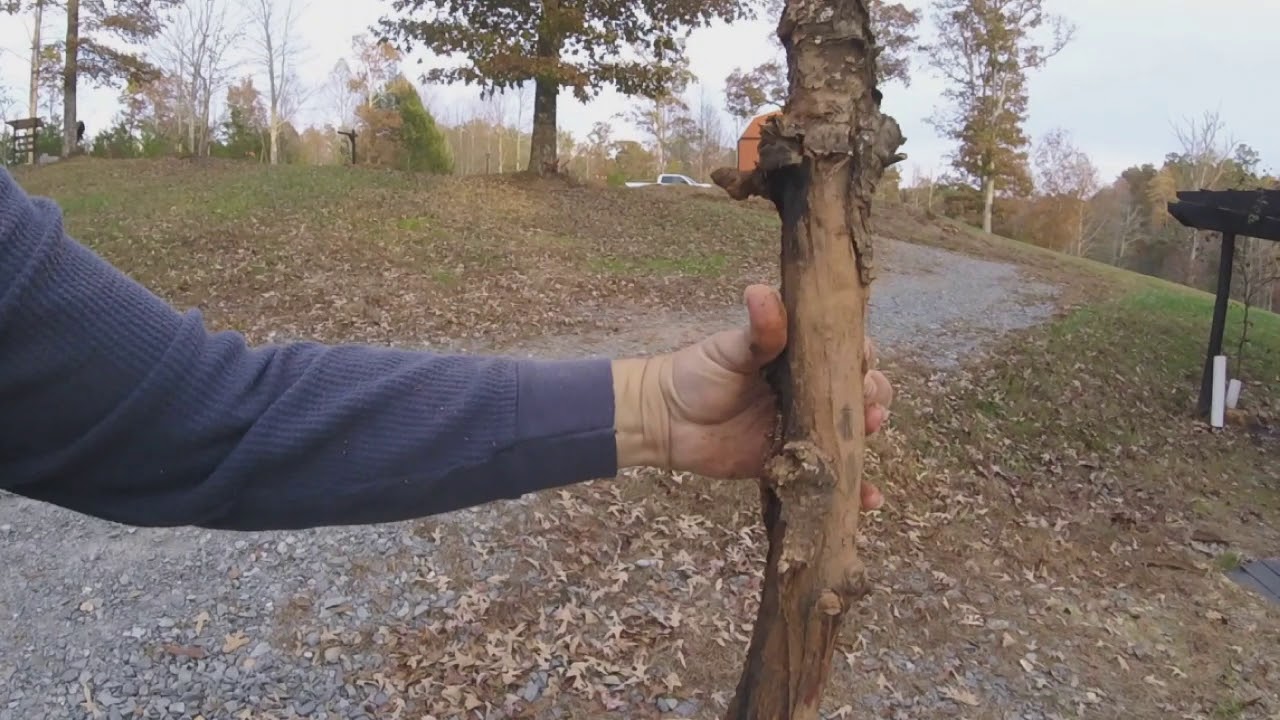 Easy how to make walking sticks - YouTube