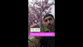 Yok Artık Bu Da Mı Yeni̇yoo 😉