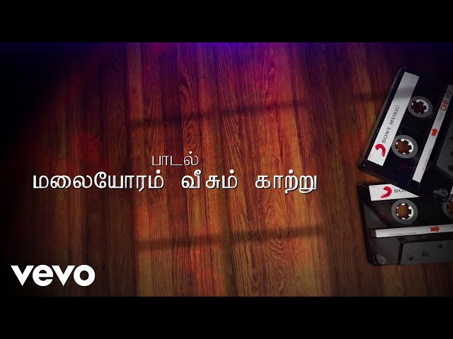 Paadu Nilave - Malaiyoram Veesum Kaatru Lyric | Mohan, Nadhiya | Ilaiyaraaja class=