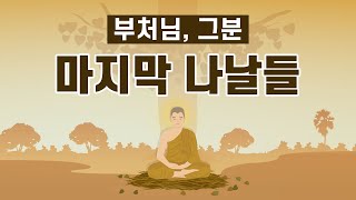 【책읽어주는스님】 부처님은 무엇을 마지막으로 남기셨을까? l 부처님의 마지막 순간 l 부처님이 마지막으로 펼치신 법 l 정목스님의 낭독 l 고요한소리