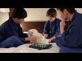 愛犬と男3人で温泉旅行に行ったら楽しすぎました!前編(伊豆高原・愛犬お宿)
