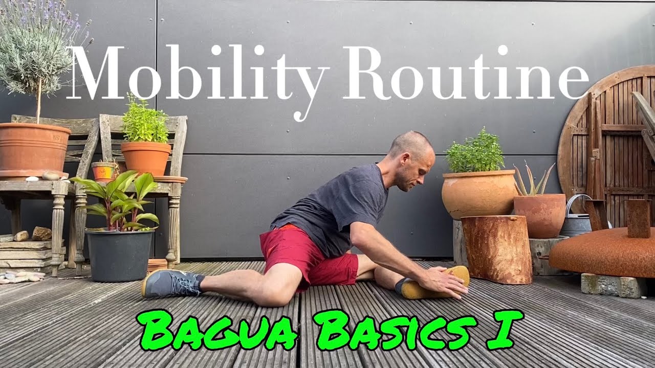 Good Morning Mobility Routine - Bagua Basics 1
