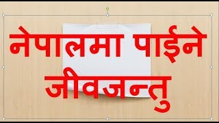 लोकसेवामा सोधिने नेपाली जीवजन्तु सम्बन्धी सामन्यज्ञान प्रश्नोत्तर ( बिषेश २५ QnA)