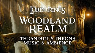 Lord of the Rings | 🍂 The Woodland Realm Music & Ambience, Thranduil's Throne with @ASMRWeekly