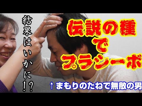 【最強の男をめざせ】伝説の種でプラシーボ効果検証