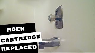 Plumbing Apprentice Changes Moen Cartridge