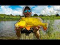 MY BIGGEST YET! PEACOCK BASS IN BEAUTIFUL SOUTH FLORIDA! CRAZY THUNDERSTORM! - GET REEL BASS FISHING