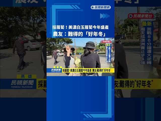 採蘿蔔! 美濃白玉蘿蔔今年盛產 農友:難得的"好年冬"－民視新聞