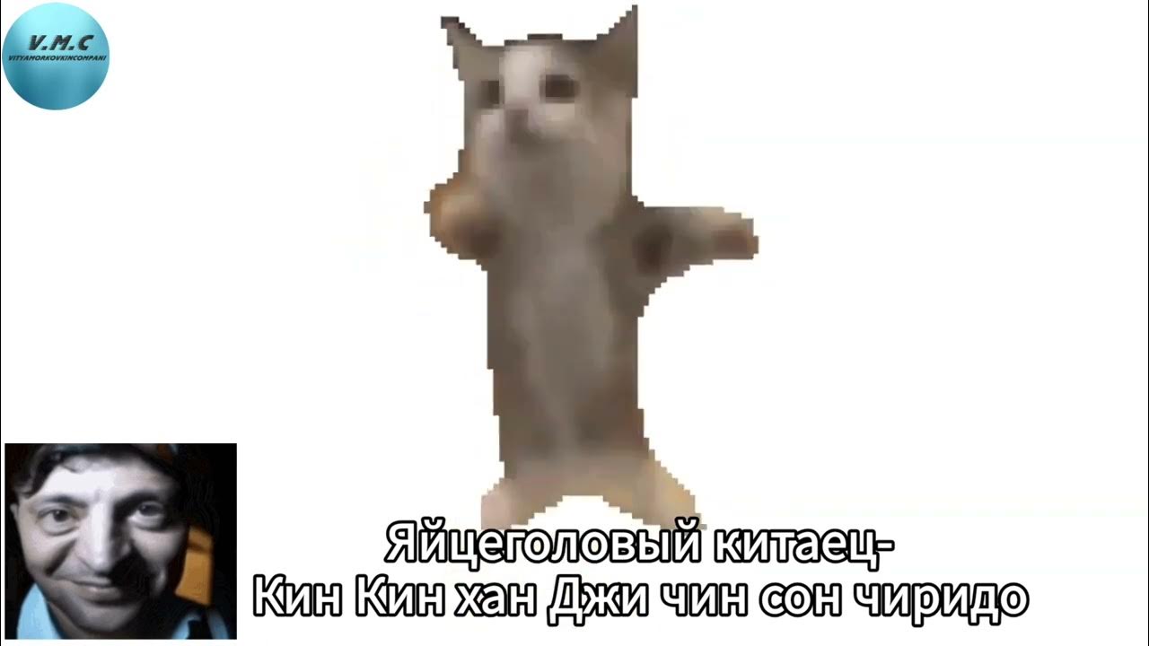 Шнапи шнапи шнапи мем с котом