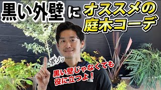 【カラーリーフコーデ】黒い外壁に似合う和モダン～洋風の低木