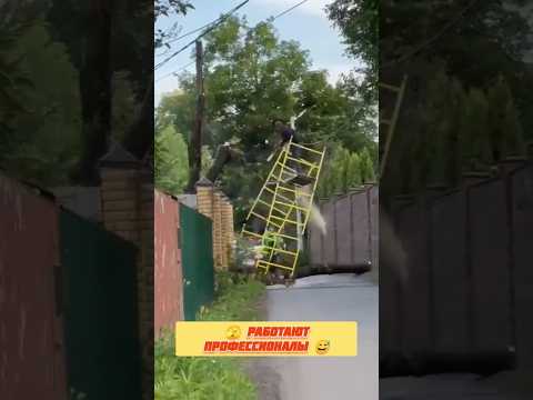🫣 Внимание! Работают профессионалы – кандидаты на премию Дарвина #новости #россия