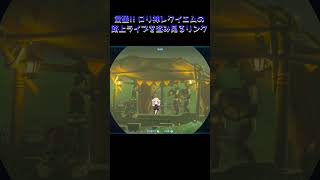 ロリ神レクイエムを見つめるリンク #ティアーズオブザキングダム #ティアキン #ゼルダの伝説 #shorts
