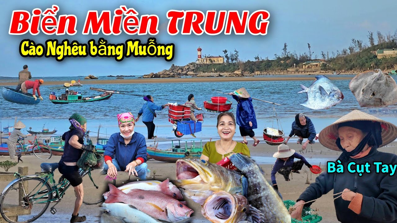 Bắt gặp bà ngoại đạp xe 7 cây số đi bắt ốc - Hải sản siêu rẻ bến cá dân sinh.