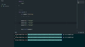 0 mengenal array di go