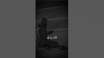 أحمد خضر | سورة القصص آية ٢٤