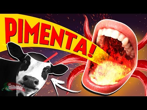 Vídeo: Como Neutralizar Pimentas