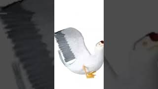 Dibiri di kae🔥🍻🥃