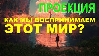 Консультация психолога о проекции. Психология для всех. Короткие видео