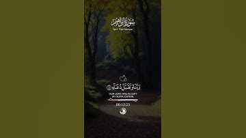 ﷺ الصلاة على النبي ،ﷺ ❤️‍🩹#reels#القرآن #تلاوة_خاشعة #قران