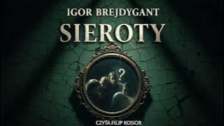 Sieroty Lektor Filip Kosior Kryminały po Polsku AudioBook PL