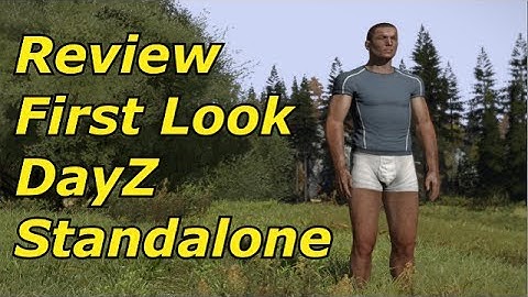 DayZ Standalone Alpha First Impression / Review