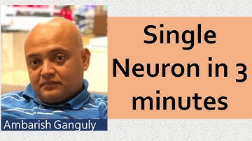 01- Single Neuron in 4 minutes