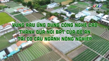 Vùng rau công nghệ cao - Thành quả từ đề án tái cơ cấu ngành nông nghiệp | TayNinh TV