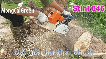 Máy cưa xích Stihl 046 - Stihl Chainsaw 046 - Siêu phẩm cắt gỗ như thái chuối - MongCaiGreen Shop