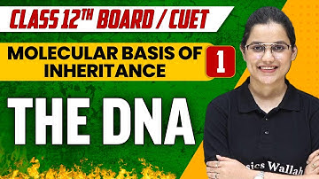 Molecular basis of Inheritance 01 | The DNA | Class 12th/CUET