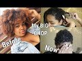 The Big Chop | I destroyed my 4c Afro : My New Natural Hair Journey