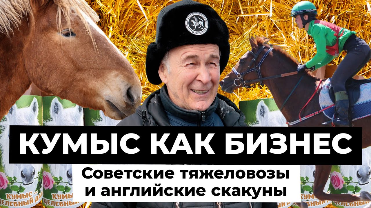 Племенные лошади на миллионы. Как фермер остался единственным производителем кумыса в Татарстане