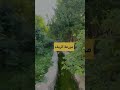 اماكن الترفيه في الطائف السياحة الطائف الجنوب ترفيه اماكن الترفيه في الطائف السياحة الطائف الجنوب ترفيه
