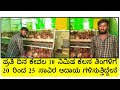 BV 380 ಕೋಳಿ ಸಾಕಾಣಿಕೆ ಮಾಡಿ ಮೊಟ್ಟೆಯಿಂದ ಪ್ರತಿದಿನ ಆದಾಯ ಗಳಿಸಿ ಯಶಸ್ವಿಯಾದ ಯುವ ರೈತ