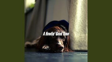 Pulsating Backdrops for Resting Pup