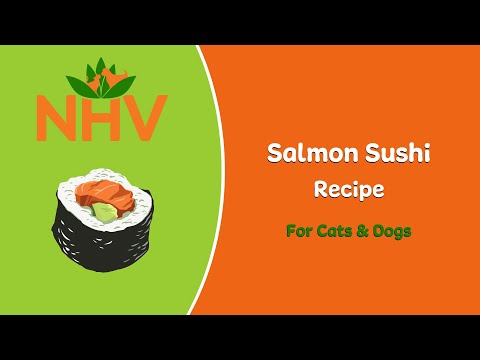 DIY Salmon Sushi Recipe For Cats &amp; Dogs