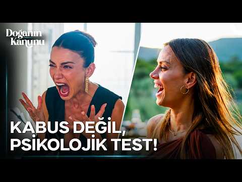 Mutluluk Kısa Sürdü! - Doğanın Kanunu 11. Bölüm