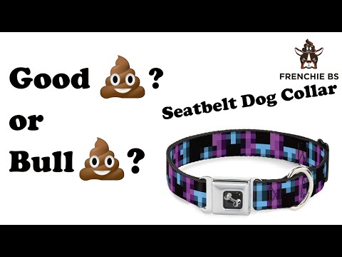 is-the-buckle-down-seatbelt-dog-collar-good💩-or-bull💩?