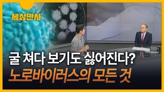 [세상만사] 겨울에도 식중독 주의! 노로바이러스의 모든 것