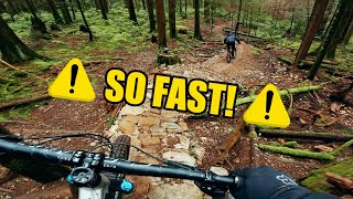 It's so FAST | Ned's Atomic Dustbin | Mt Seymour