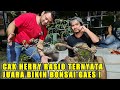 BERKEBUN BARENG CAK HERI RASIO ! Bikin bonsai tanaman asem