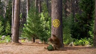 Yogi Bear Wilhelm Scream