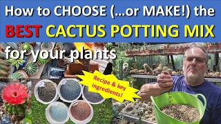 How To CHOOSE (or MAKE) THE BEST CACTUS POTTING MIX #cacti #succulents #plants #cactus #pottingmix