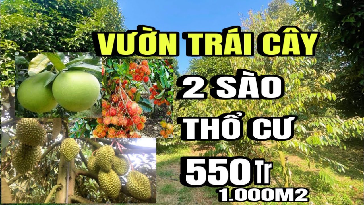 Đã bán) chính chủ bán gấp, vườn đủ loại trái cây, thổ cư, Huyện cẩm Mỹ cũ, Đồng Nai