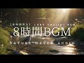 Peaceful Forest Stream & Birds (2 Hours) | Morning Nature Ambience