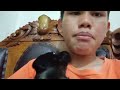 BOMBOM ANAK BROWN