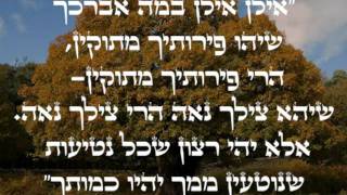 Video thumbnail of "יעקב שוואקי   אילן ilan"