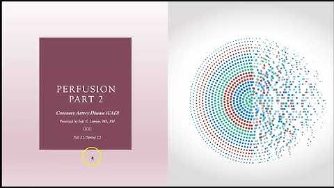 Perfusion Part 2 CAD 22/23